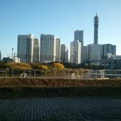 ポートサイド公園