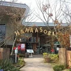 はな阿蘇美