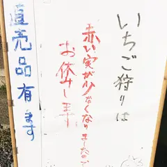 安田いちご園