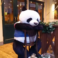フレッシュネスバーガー新横浜店