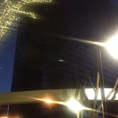 新宿警察署裏信号