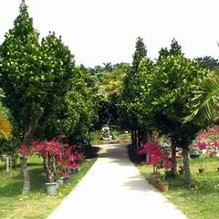 宮古島市熱帯植物園