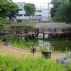 文庫の森