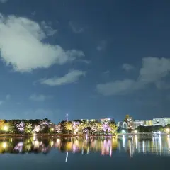 大濠公園日本庭園