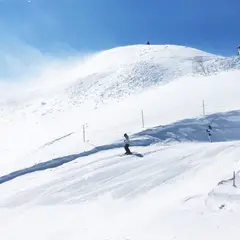 地蔵の頭