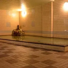 白馬姫川温泉 竜神の湯