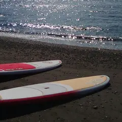Sunny Funny Days