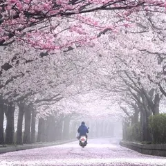 七谷川