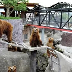 阿蘇カドリー・ドミニオン