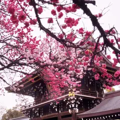 真清田神社