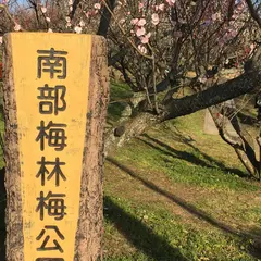 南部梅林