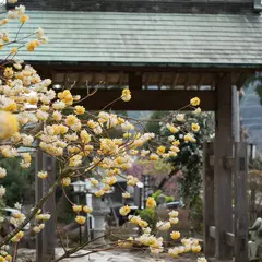 長興山紹太寺