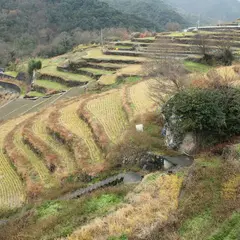 中山千枚田