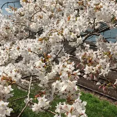 外濠公園