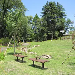 おとめ山公園