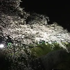 山崎川