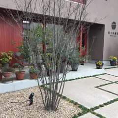 佐々木書店