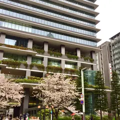 東京スクエアガーデン