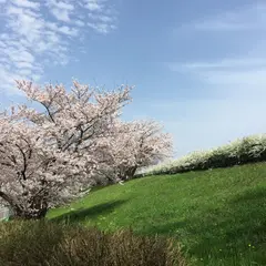 牧野ヶ池緑地