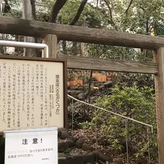 猿楽神社