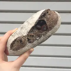 わたほろ製パン店