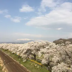 船岡城址公園