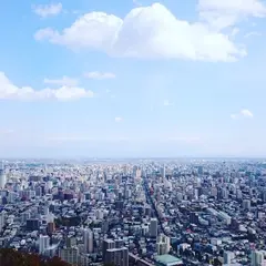 円山