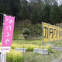カタクリの里