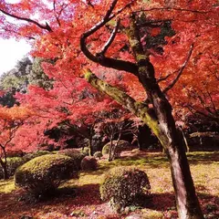 九年庵（旧伊丹家別邸）
