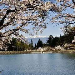 駒ヶ根高原一帯