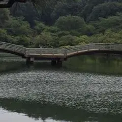 薬師池公園