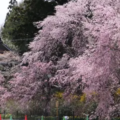 光前寺庭園