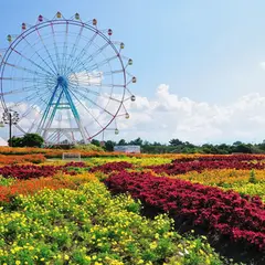 海の中道海浜公園