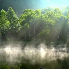木戸池