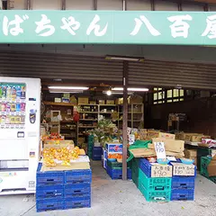 おばちゃん八百屋