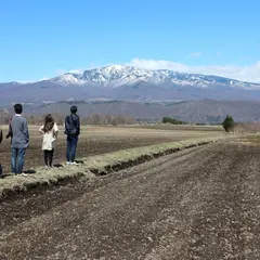 ベルエールの森