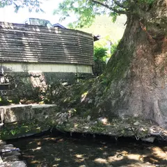 水源けやき