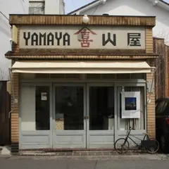 １０センチ