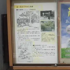 浅沢社