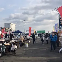 港の朝市