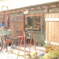 カルジーナ