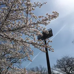鴻巣市立陸上競技場