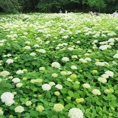 相模原北公園