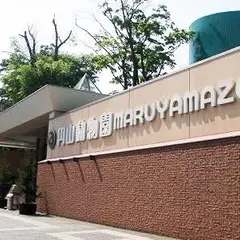円山動物園