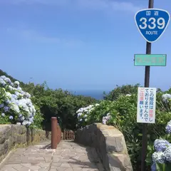 階段国道339号
