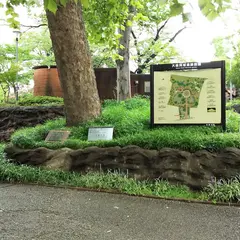 大森貝塚遺跡庭園
