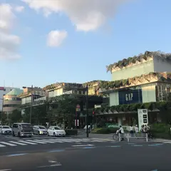 玉川高島屋S.C マロニエコート