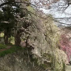 烏帽子山公園