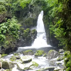 小坂の滝めぐり