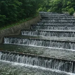 奥沢キャンプ場